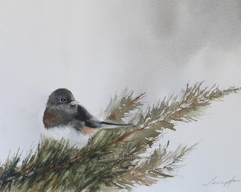 Junco painting in WATERCOLOR Winter Bird PRINT of  Dark Eyed Junco perched in pine tree