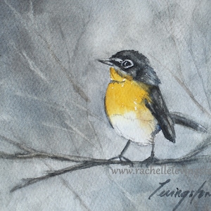 Small yellow bird PRINT Watercolor bird painting. Watercolor Bird Art PRINT of yellow bird. Watercolor painting of yellow chat bird