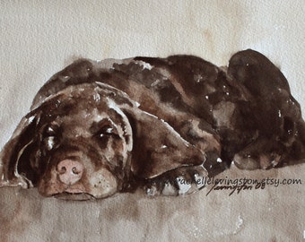 Lab puppy painting in Watercolor Painting of dog- Painting chocolate lab- Painting of Labrador Retreiver