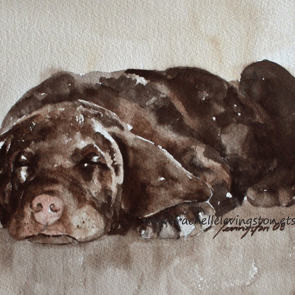 Chocolate Labrador Puppy Watercolor Painting Art Print