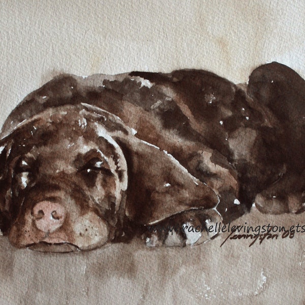 Lab puppy painting in Watercolor Painting of dog- Painting chocolate lab- Painting of Labrador Retreiver