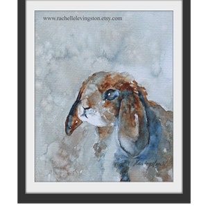 Puede incluir: Pintura acuarela de un conejo marr&oacute;n y blanco con orejas ca&iacute;das, sobre un fondo azul claro y gris. Los ojos del conejo son azules y est&aacute; mirando hacia la derecha. La firma del artista est&aacute; en la esquina inferior derecha.