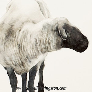 Set of Sheep painting of Sheep. Modern Farmhouse Decor. Sheep Nursery art print. Sheep PRINT watercolor sheep cream white Girls Kid VERTICAL