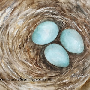 Robin Nest Watercolor Painting: Three Blue Eggs Art Print