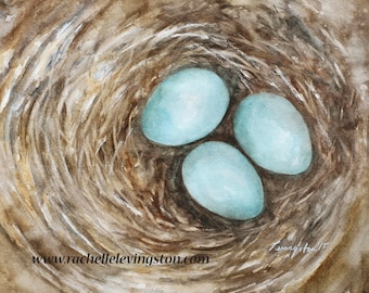 Robin Nest Watercolor Painting: Three Blue Eggs Art Print