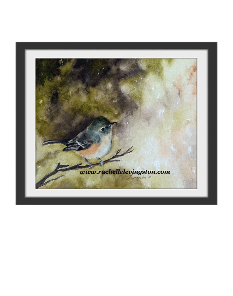 bird watercolor bird painting Bird PRINT Large Watercolor bird print Shabby Chic Bird Print Vireo Vintage inspired green dp YOU PICK image 7