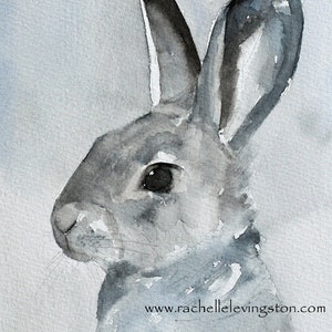 K&ouml;nnte beinhalten: Aquarellmalerei eines grauen Kaninchens mit schwarzen Ohren und einer schwarzen Nase. Das Kaninchen schaut nach links. Der Hintergrund ist ein hellblauer Aquarell-Wasch. Die Unterschrift des K&uuml;nstlers befindet sich in der rechten unteren Ecke.