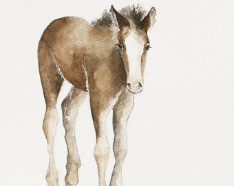 Colt painting watercolor Art Print of horse -Cowboy nursery art