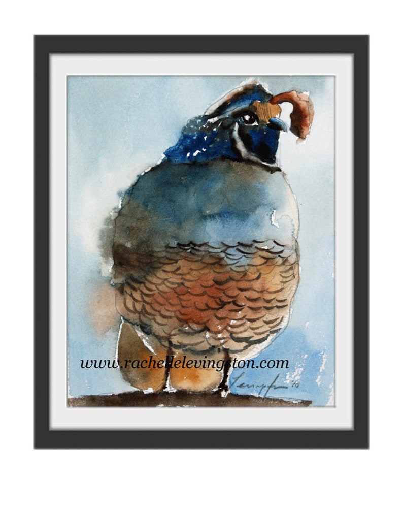 Art Print of California Quail PRINT Quail art print Quail painting quail Painting of Quail Californian bird painting image 2