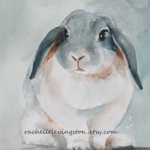 May include: Watercolour painting of a grey and white rabbit with floppy ears. The rabbit is looking directly at the viewer with a soft, gentle expression. The background is a light blue watercolour wash.