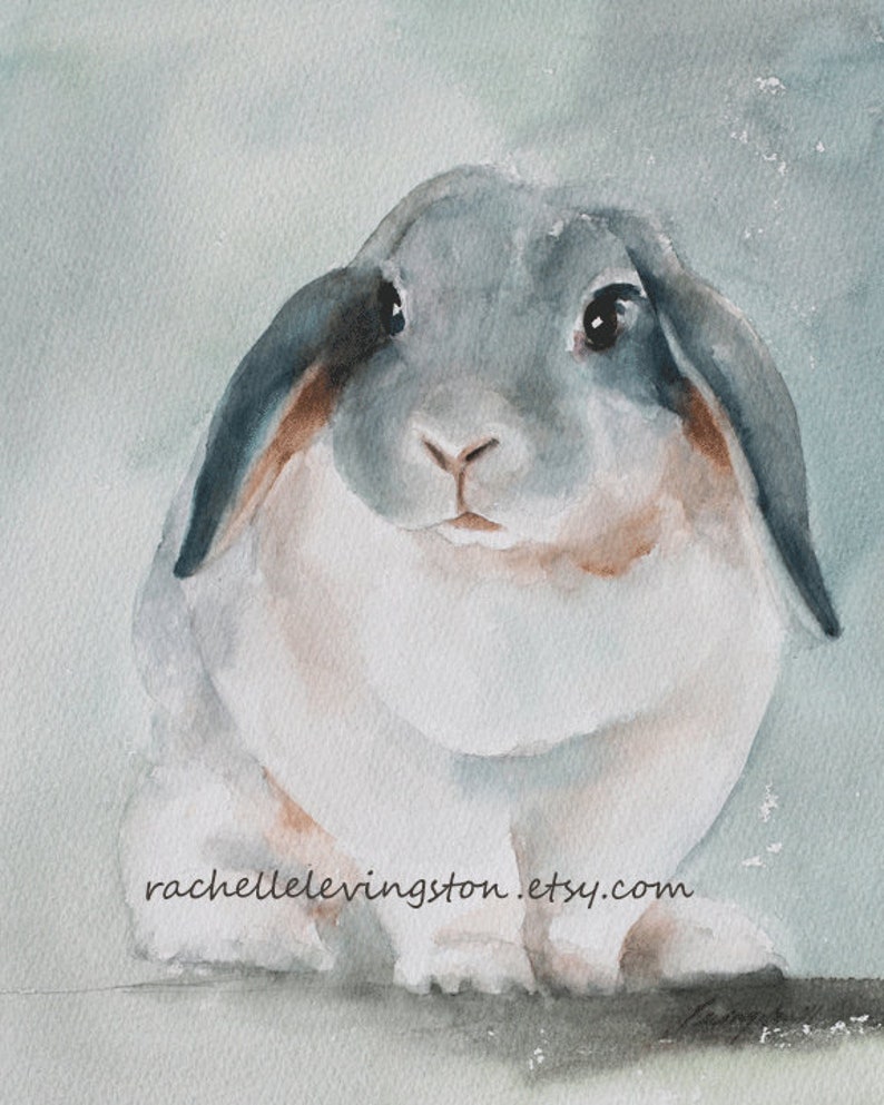 May include: Watercolour painting of a grey and white rabbit with floppy ears. The rabbit is looking directly at the viewer with a soft, gentle expression. The background is a light blue watercolour wash.