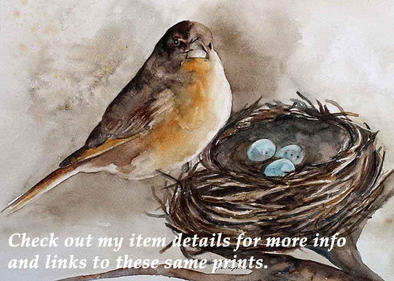 Valentine's gift idea for mom. Bird card watercolor card. Watercolor NOTE CARDS with bird painted. Blank Bird Note cards notecard set 1 image 4