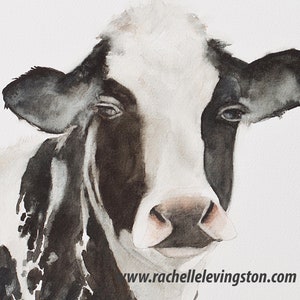 May include: Watercolor painting of a black and white cow's head. The cow has a gentle expression and is looking directly at the viewer. The painting is done in a realistic style and captures the cow's soft features.