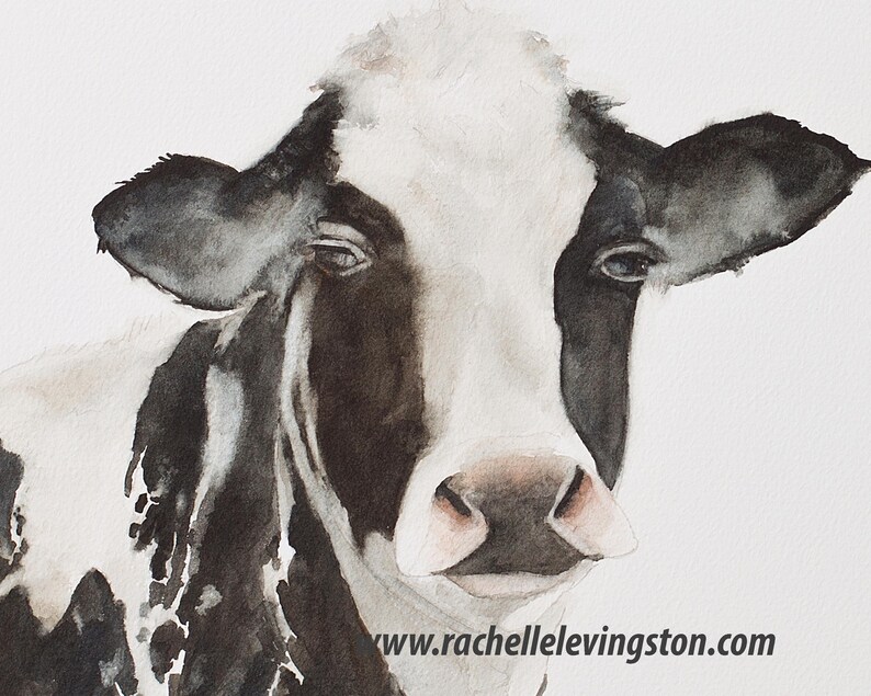 May include: Watercolor painting of a black and white cow's head. The cow has a gentle expression and is looking directly at the viewer. The painting is done in a realistic style and captures the cow's soft features.