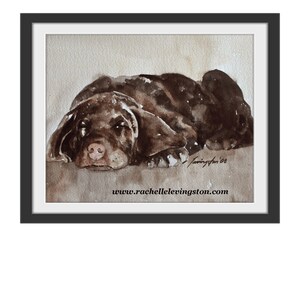 May include: Watercolour painting of a brown dog lying down. The dog's nose and paws are visible. The painting is signed "Levington '08" and includes the website "www.rachellelevington.com".