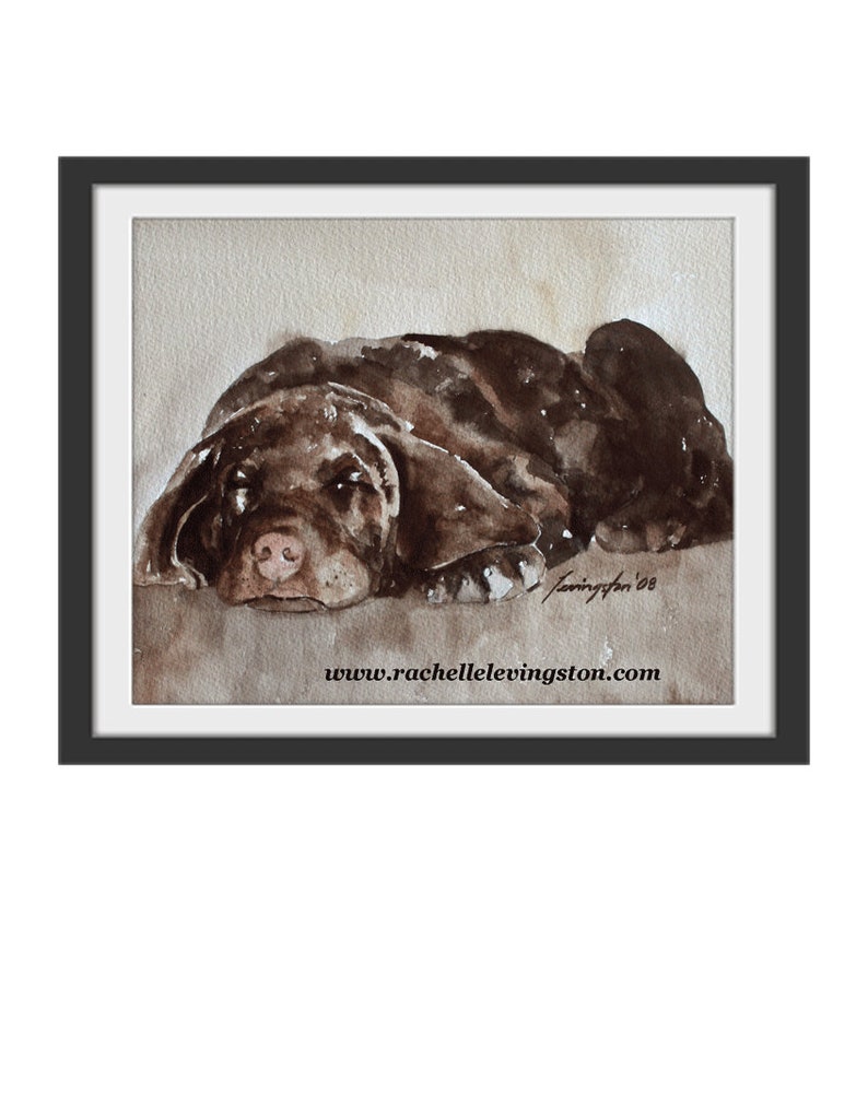 May include: Watercolour painting of a brown dog lying down. The dog's nose and paws are visible. The painting is signed "Levington '08" and includes the website "www.rachellelevington.com".
