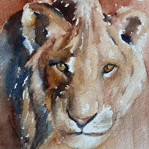 Lion PRINT from original lion painting Lion art print painting of lion lioness painting of lioness print of lioness art print watercolor