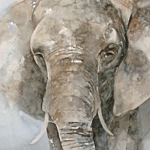 ORIGINAL Painting in watercolor painting original Watercolor painting Animal painting Elephant painting CUSTOM Commission or PRINT