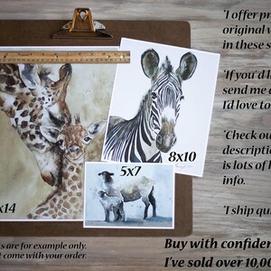 May include: A collage of three watercolor paintings on paper, each featuring a different animal. The first painting shows a mother and baby giraffe, the second shows a zebra, and the third shows a sheep and lamb. The paintings are framed with white borders and have handwritten text indicating the size of each print: 11x14, 8x10, and 5x7 inches.