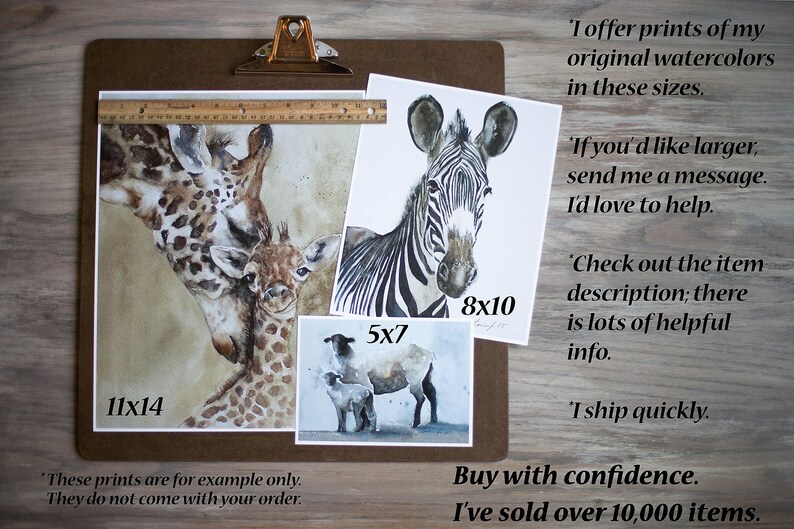 May include: A collage of three watercolor paintings on paper, each featuring a different animal. The first painting shows a mother and baby giraffe, the second shows a zebra, and the third shows a sheep and lamb. The paintings are framed with white borders and have handwritten text indicating the size of each print: 11x14, 8x10, and 5x7 inches.