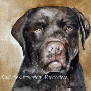 May include: Watercolour painting of a chocolate brown Labrador Retriever dog looking directly at the viewer. The dog's fur is painted in shades of brown and black, and its eyes are a deep brown. The background is a light brown.