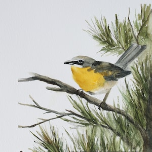 Yellow BIRD PRINT in Watercolor bird painting- Bird Art PRINT of yellow bird- Watercolor painting of yellow chat bird perched in tree