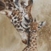 see more listings in the Animal Prints section