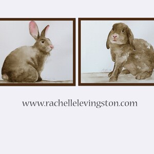 May include: Two watercolor paintings of brown rabbits. The rabbit on the left is sitting with its back to the viewer. The rabbit on the right is sitting facing the viewer with its ears flopped over.
