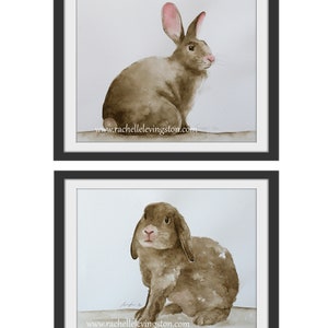May include: Two watercolor paintings of brown rabbits. The first rabbit is sitting with its ears up and looking to the right. The second rabbit is sitting with its ears down and looking at the viewer. Both rabbits are painted in a realistic style with soft, muted colors.