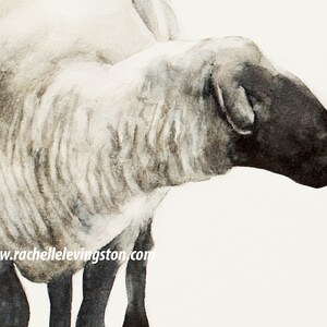 Watercolor Lamb Print Set: Religious Easter Art image 6