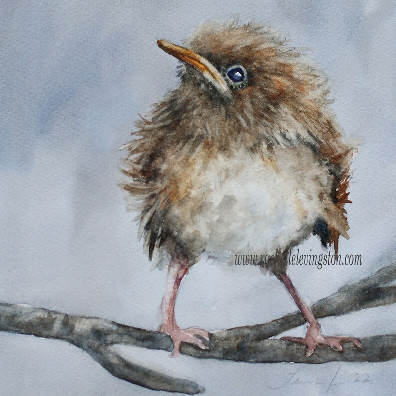 INSTANT DOWNLOAD bird painting in watercolor image 1