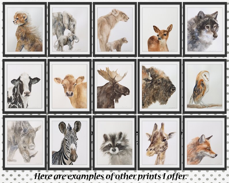 Puede incluir: Una colecci&oacute;n de 15 acuarelas que representan diferentes animales, incluyendo un guepardo, un elefante, un ciervo, un lobo, una vaca, un alce, un b&uacute;falo, un b&uacute;ho, un rinoceronte, una cebra, un mapache, una jirafa y un zorro. Las pinturas est&aacute;n enmarcadas en marcos negros y se muestran sobre un fondo blanco con lunares negros.