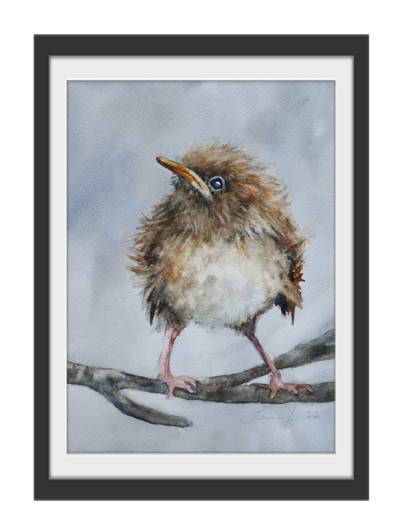 Baby bird Art PRINT Baby bird Painting Baby Wren in watercolor painting of baby Bird PRINT art Grandma Chic bird image 2