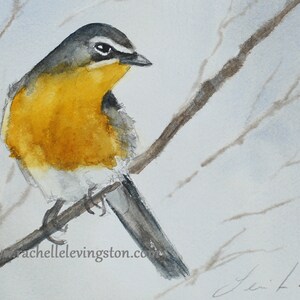Watercolor painting of Yellow chat bird . SET of Bird PRINTS yellow bird. Watercolor bird painting Grandma Chic art