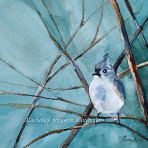 PRINT of blue bird watercolor painting bird bluebird Art PRINT Watercolor Bluebird Painting. Blue bird turquoise. Tufted Titmouse- vireo