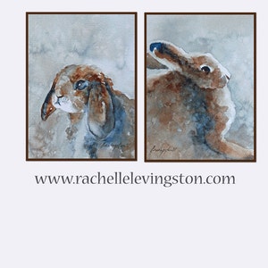 K&ouml;nnte beinhalten: Zwei Aquarelle von Kaninchen. Das erste Bild zeigt ein braunes Kaninchen mit blauen Augen, das nach rechts schaut. Das zweite Bild zeigt ein braunes Kaninchen mit blauen Augen, das nach links schaut. Beide Bilder haben einen hellblauen Hintergrund.