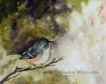 bird watercolor bird painting Bird PRINT Large Watercolor bird print Shabby Chic Bird Print Vireo Vintage inspired green dp YOU PICK