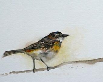 Warbler bird painting- Warbler bird art print - Warbler bird PRINT- Print of bird -yellow bird- modern cottage chic- watercolor painting