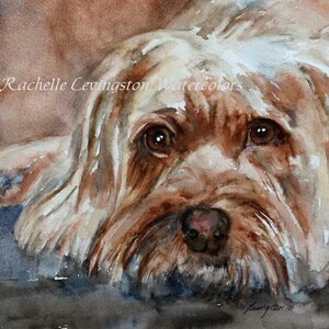 May include: Watercolour painting of a small, light brown dog with a white chest. The dog has brown eyes and a soft, fluffy coat. The painting is signed "Levington 16" in the bottom right corner.