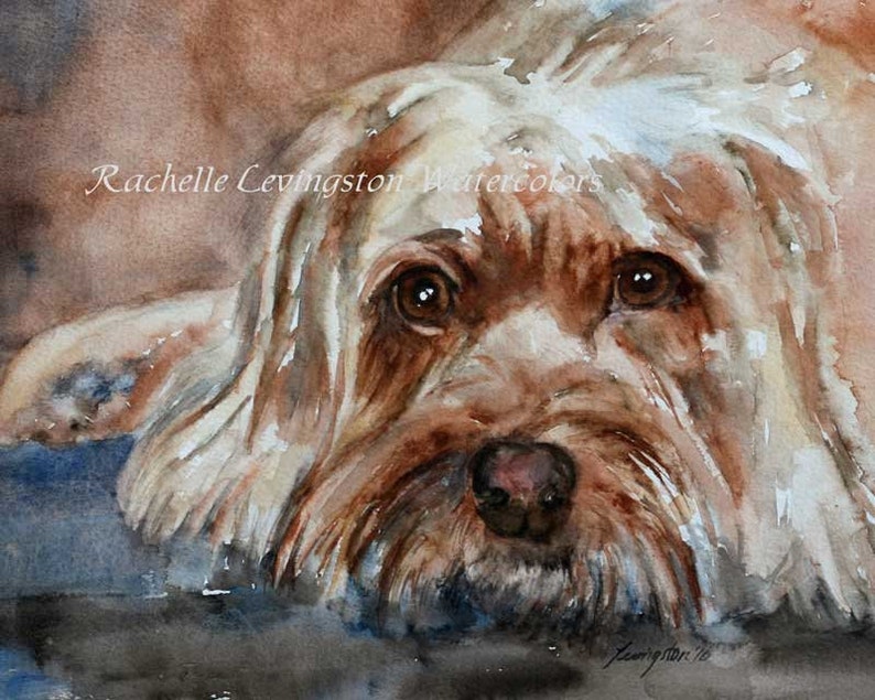 May include: Watercolour painting of a small, light brown dog with a white chest. The dog has brown eyes and a soft, fluffy coat. The painting is signed "Levington 16" in the bottom right corner.