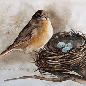 Watercolor Bird painting of Bird with Nest- Bird Nest Painting- Watercolor PRINT of robin egg- Three egg painting-For Spring