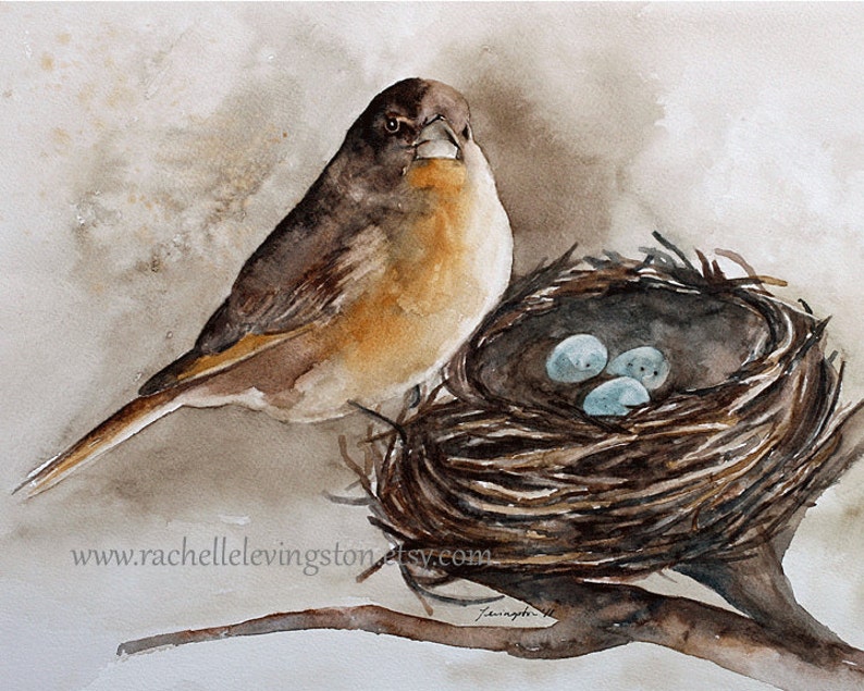 Watercolor Bird painting of Bird Nest PRINT Bird Nest Painting robin egg SPRING three egg painting room decor gold image 1