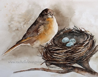 rustic decor. nest PRINT with three eggs. Bird painting of bird. Art print of  bird PRINT from original watercolor painting french countrry