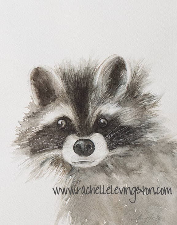 Raccoon painting of Raccoon art print woodland Nursery Print modern minimalist peek a boo SEE PHOTOS for more animal prints. You pick