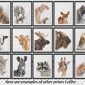 May include: A collection of 15 watercolour paintings featuring various animals, including a cheetah, elephant, deer, wolf, cow, moose, buffalo, owl, rhinoceros, zebra, raccoon, giraffe, and fox. The paintings are framed in black frames and displayed on a white background with black polka dots.