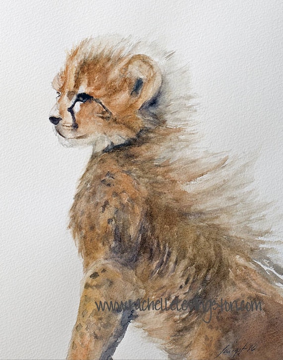 Cheetah Print for nursery. Cheetah print. Realistic Baby Etsy