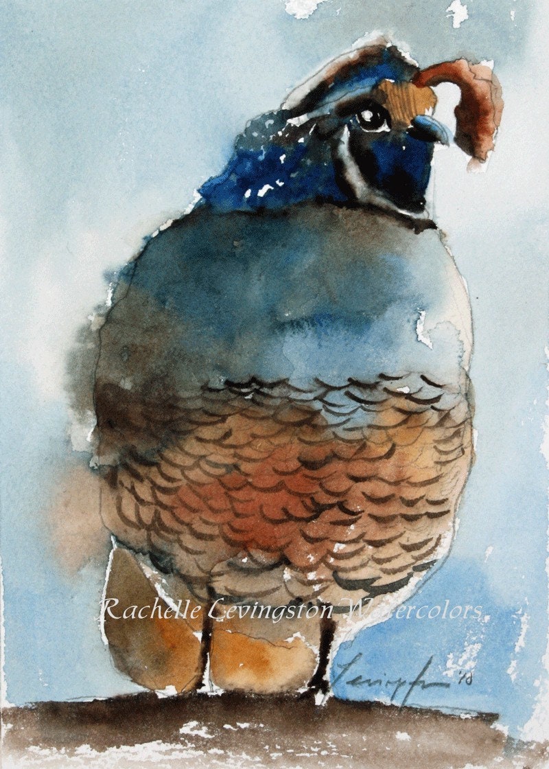 California Quail PRINT Quail art print Quail painting quail | Etsy