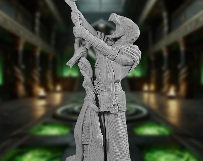 Snake Cultist  Mini - Serpent Leader  Miniature. 12k Resolution 3D Mini - DM Stash