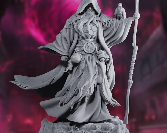Human Wizard Mini with Familiar | Elder Divination Wizard Miniature | By Nerikson