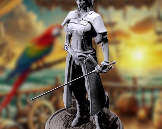 Female Pirate Captain SFW / NSFW Mini Options | Pirate Fighter Resin Figure Miniature | Gaming Figure | RPG Mini | By 3Darts